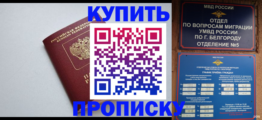 прописка регистрация в Раменском